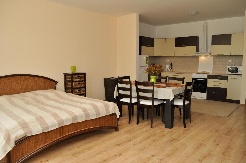 Tisza Palota Apartmanok Szeged Rum bild